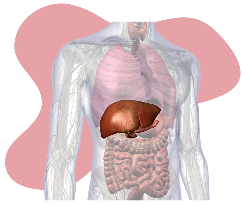 جراحی کیسه صفرا در کرج
